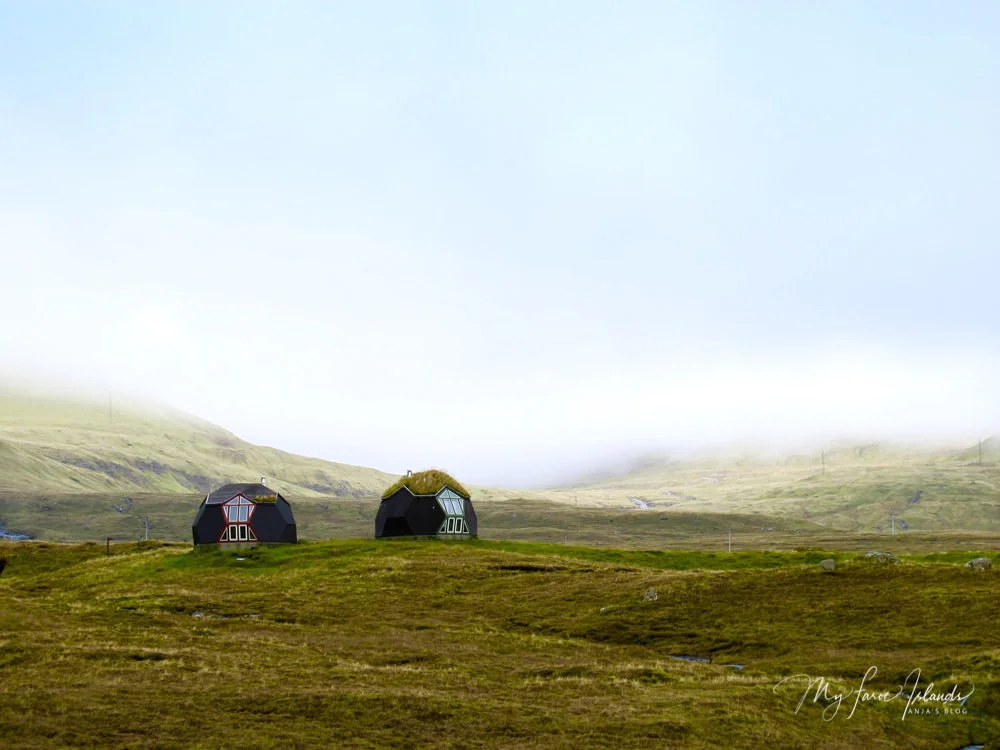 Funny Houses © My Faroe Islands, Anja Mazuhn (1 von 1).jpg