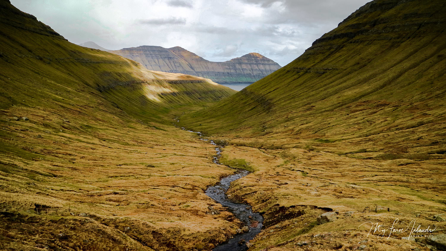 Valley-My-Faroe-Islands.jpeg