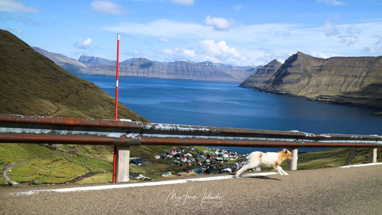 Myfaroeislands-May.jpeg