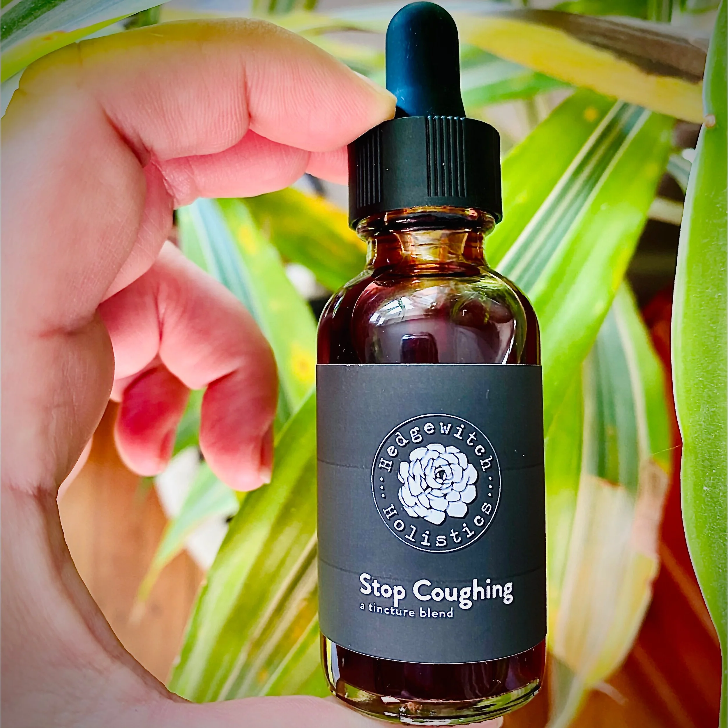 5280EFCF-DF2B-4D6D-8C1F-D2409FB857E5