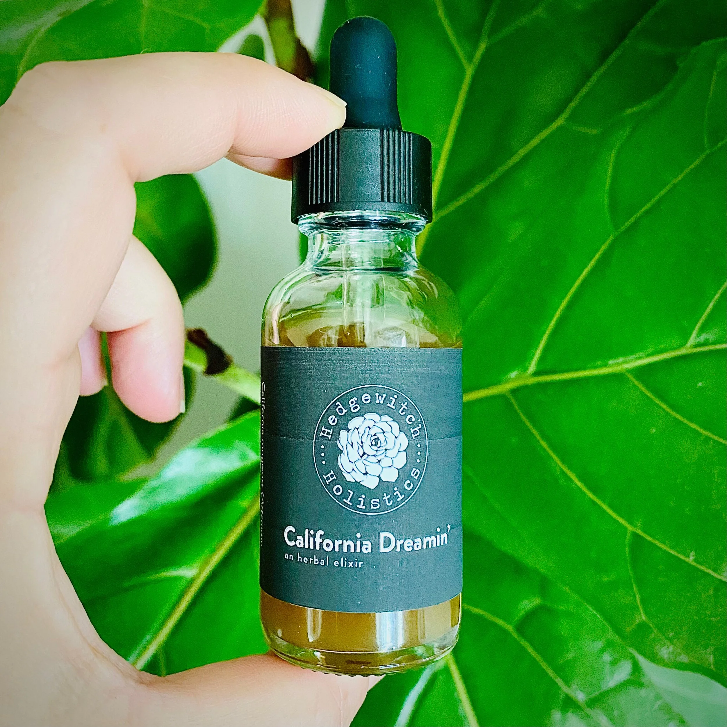 8425484B-AC13-4890-9A84-774F85CDA0F3