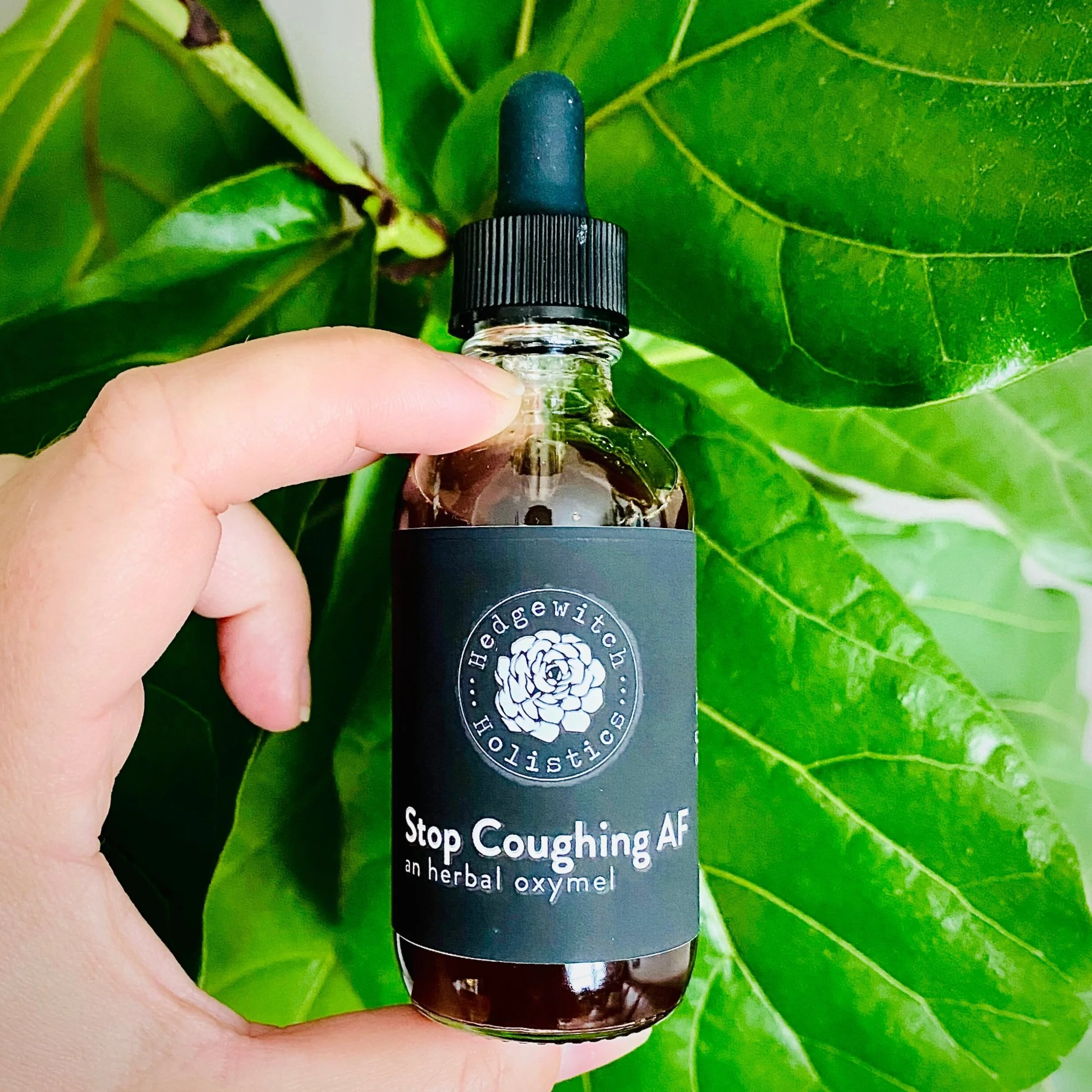 E9197C4B-ECB6-4559-AEE4-8E6C849E2D26