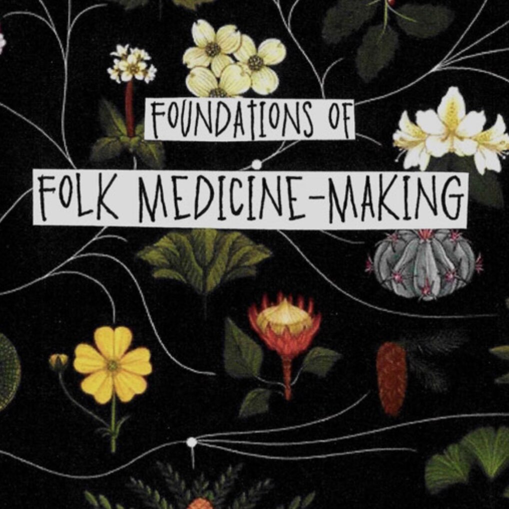 Foundations of Folk Medicine-Making - Digital Zine