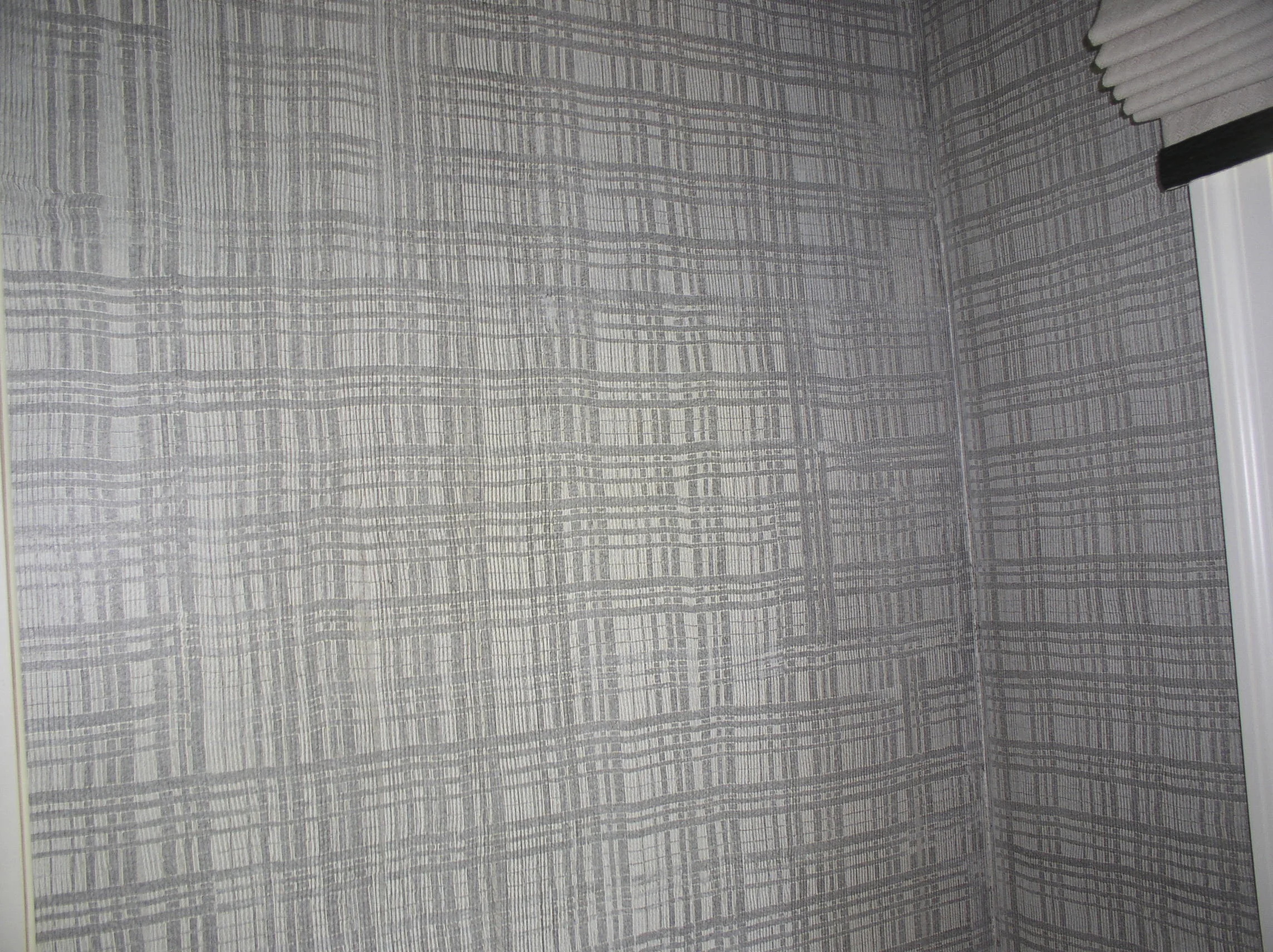 P1010025.jpg