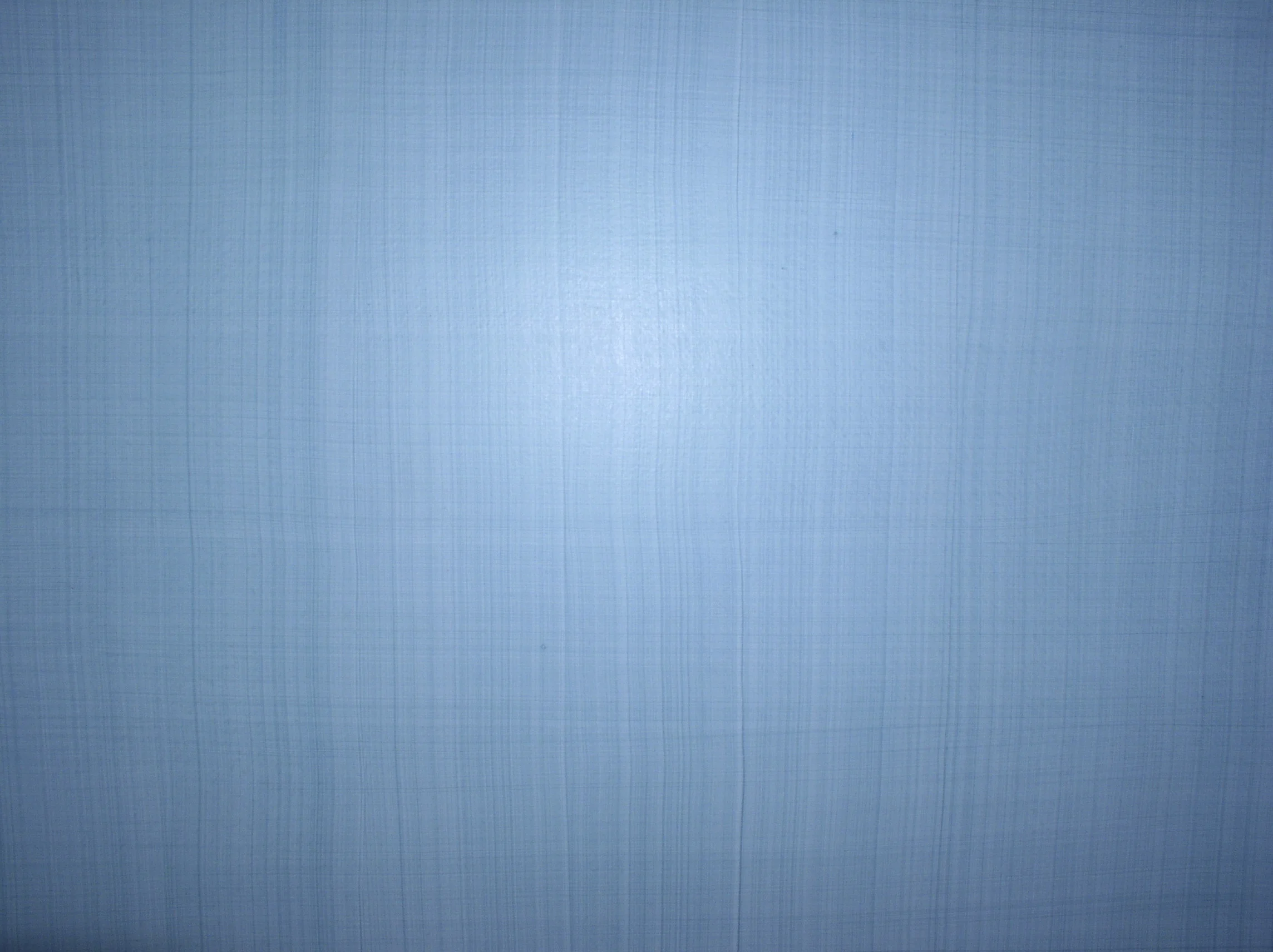 P1010039.jpg