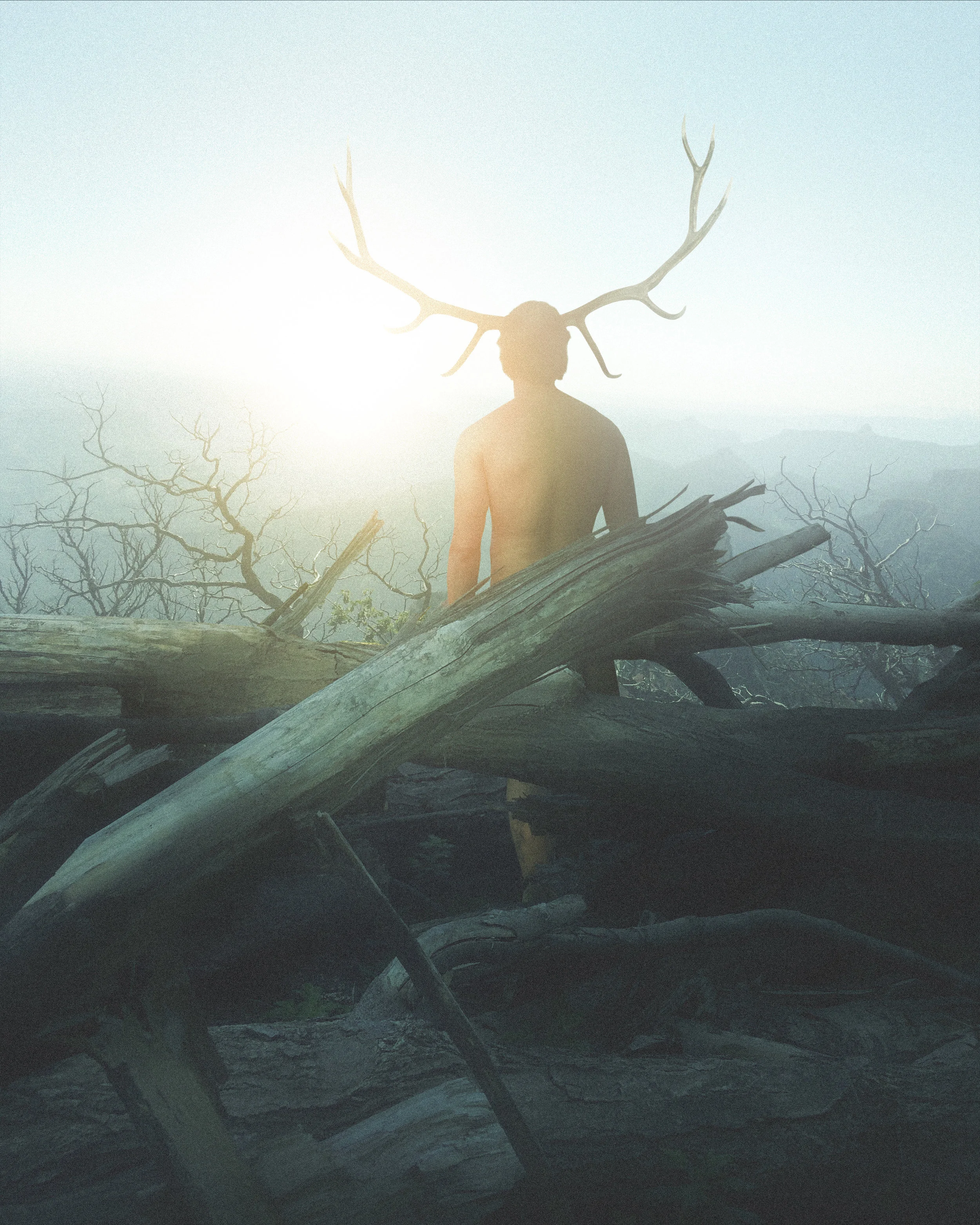 deer.jpg
