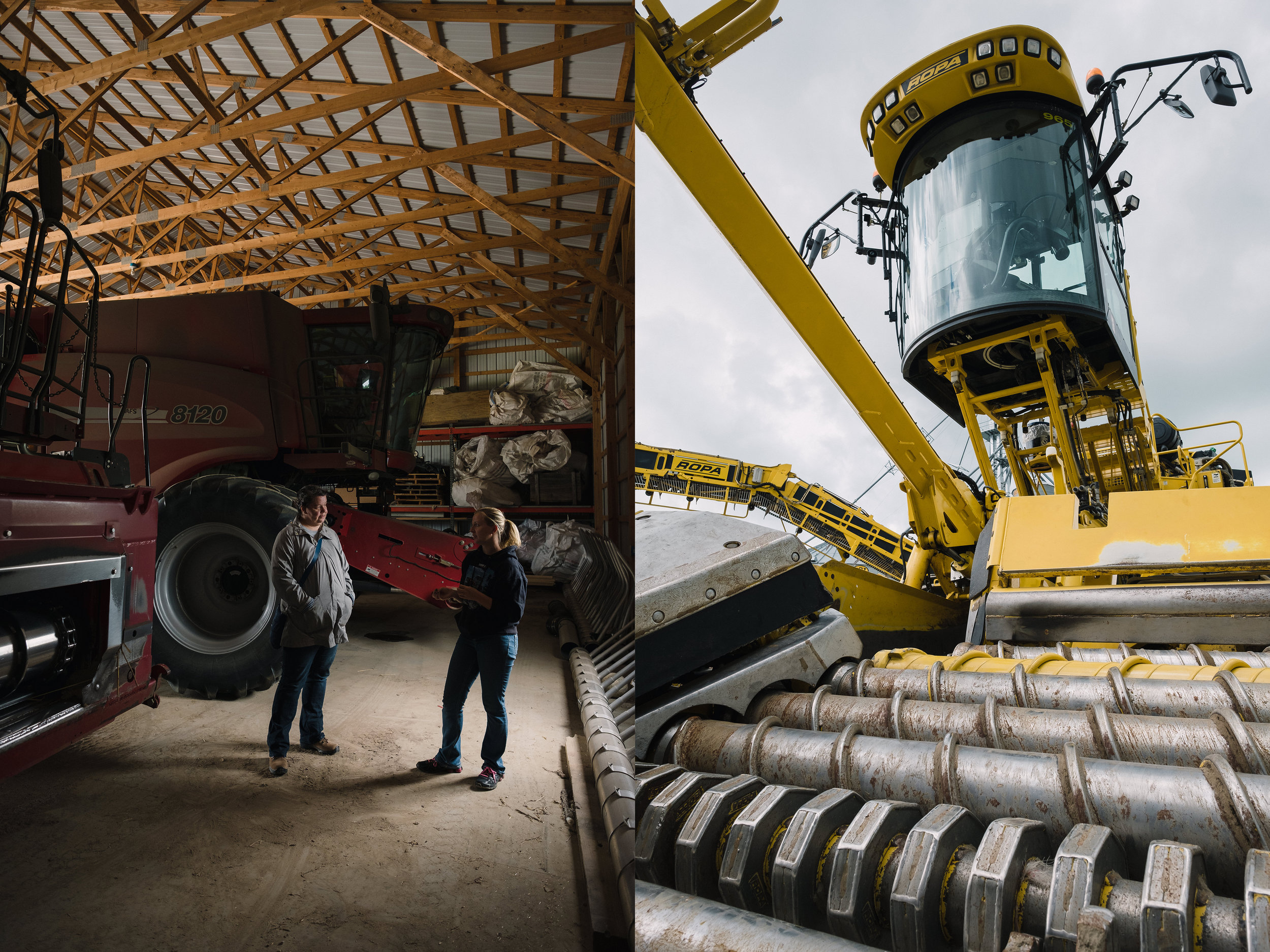 A brief tour of some of the farm equipment. Left: Combines. Right: A German-made Maus, designed for sugar beet harvesting.
