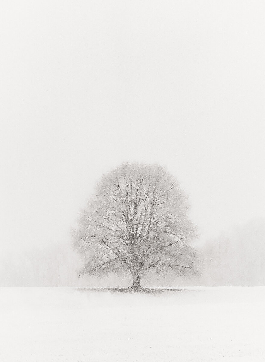 Alone in a Storm Jason Brookman