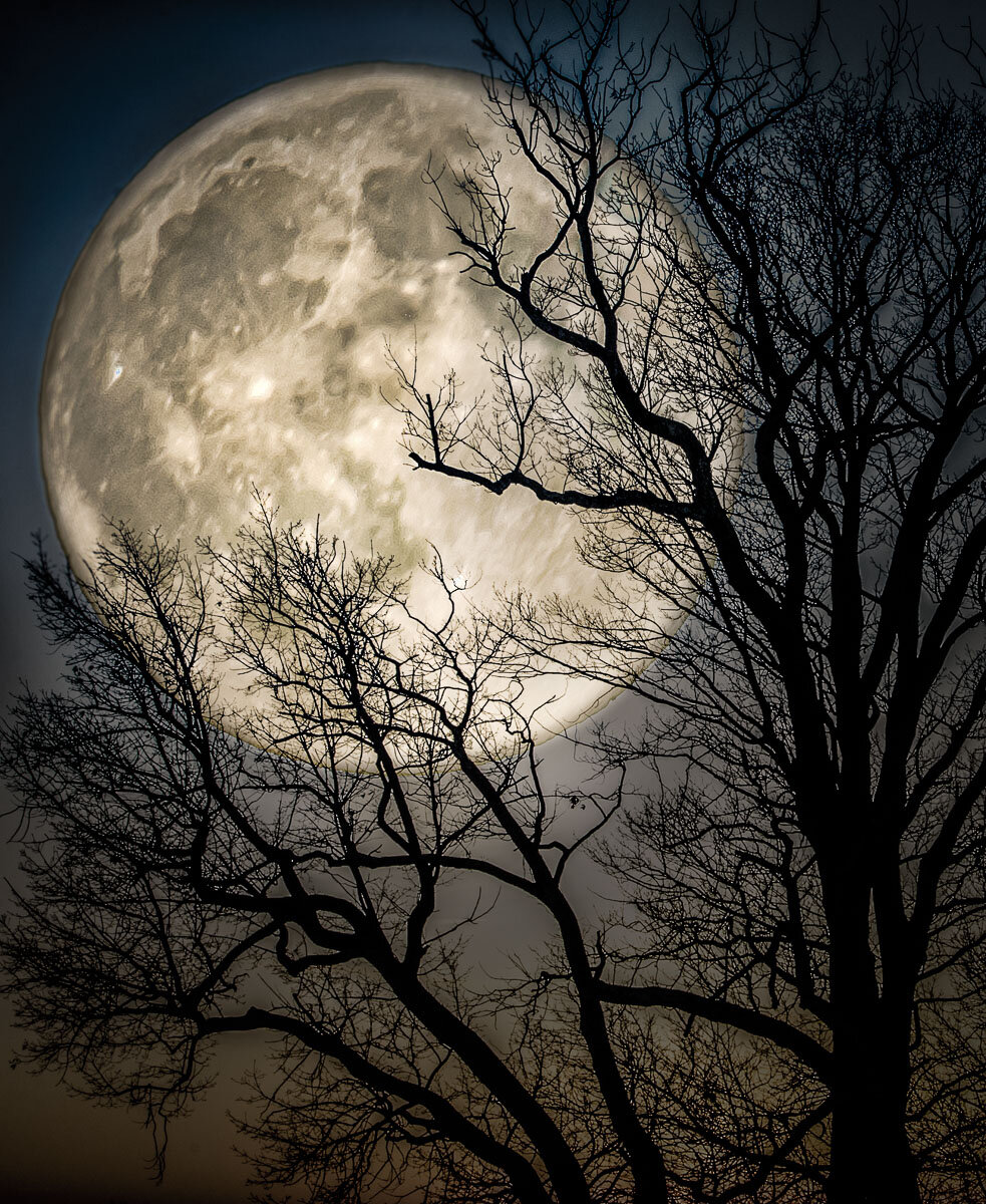   Full Moon at Sundown   Elaine Johnston Schuch 