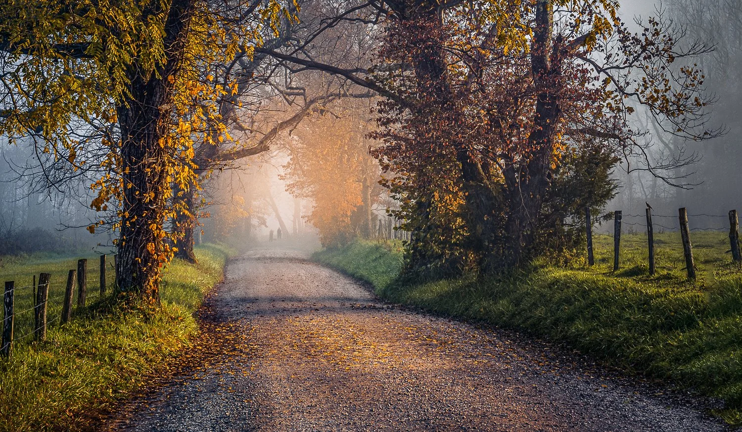 A Quiet, Misty Morning