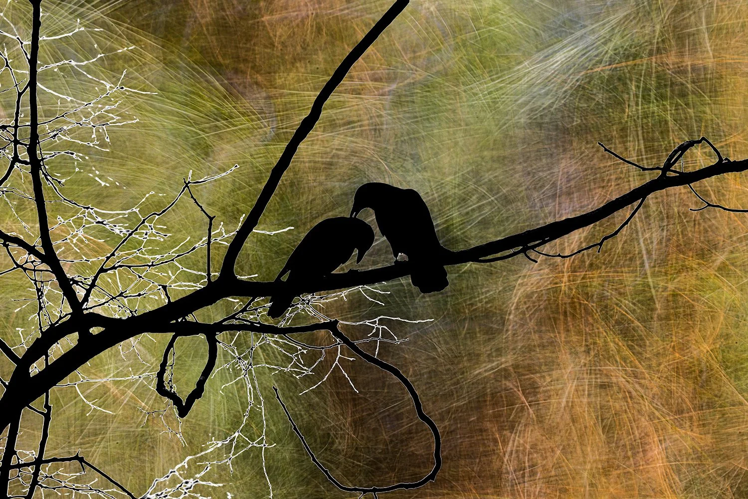 Kindred Spirits_ Lawrence Eden, MD.jpg