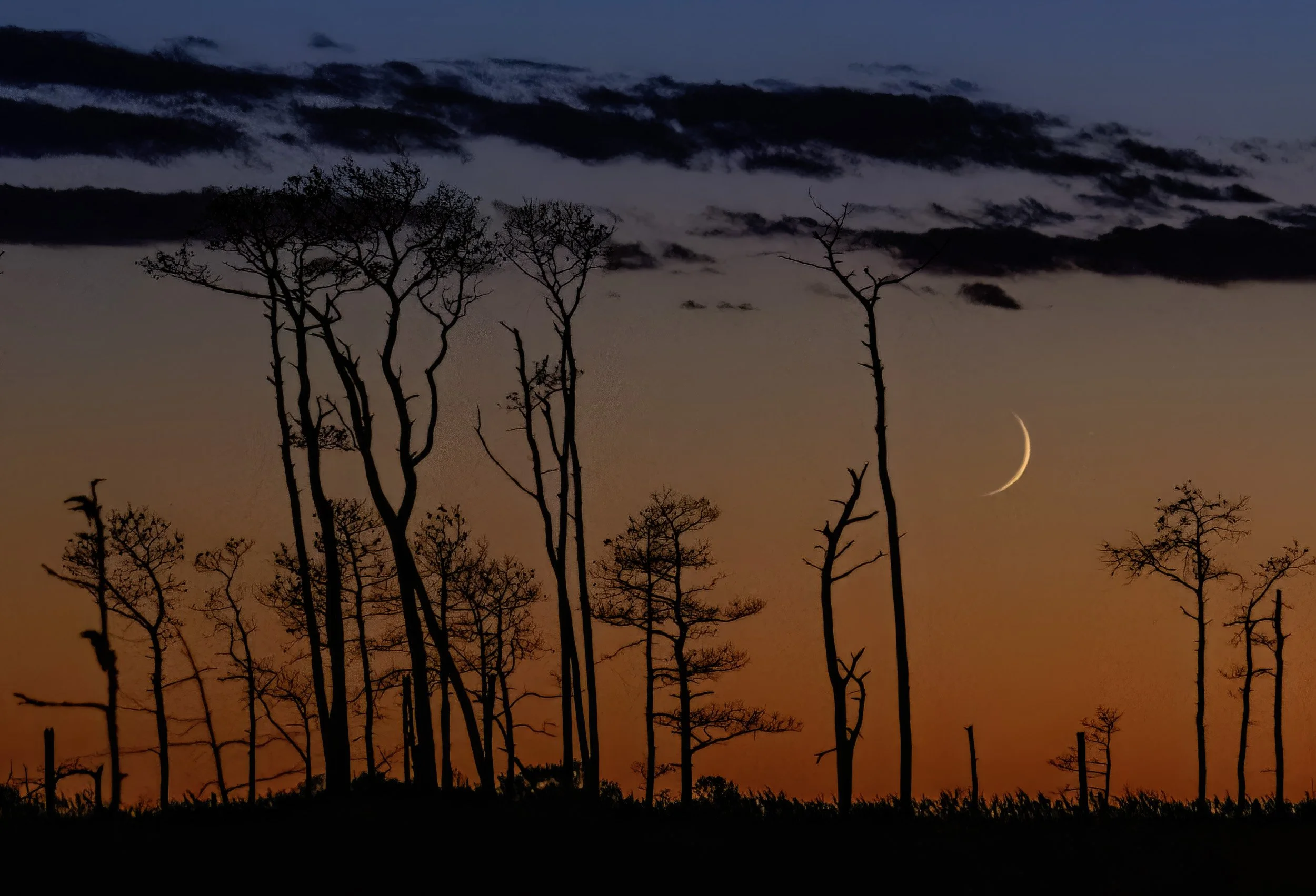 Moon Over Hooper's Island_Audrey Gassman, VA.jpg