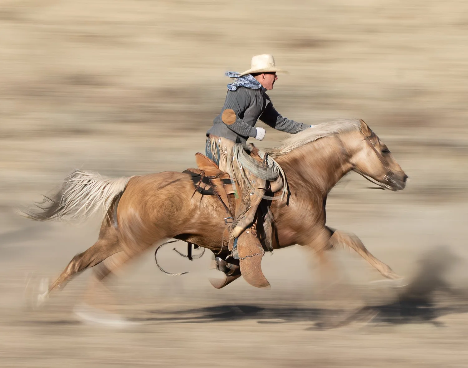 Speedy Rider_Carol Gregoire, MD.jpg