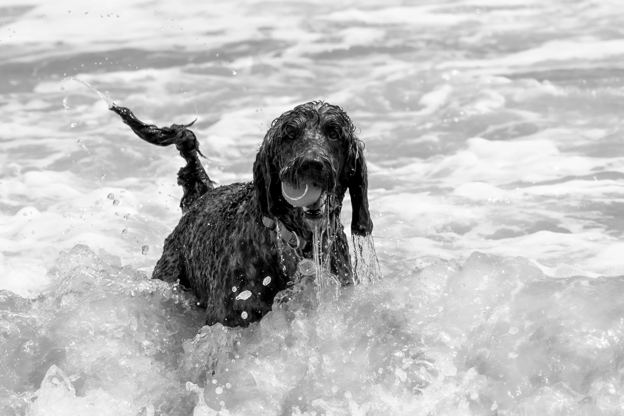 The Ocean's Game_Tory Detweiler, MD.jpg