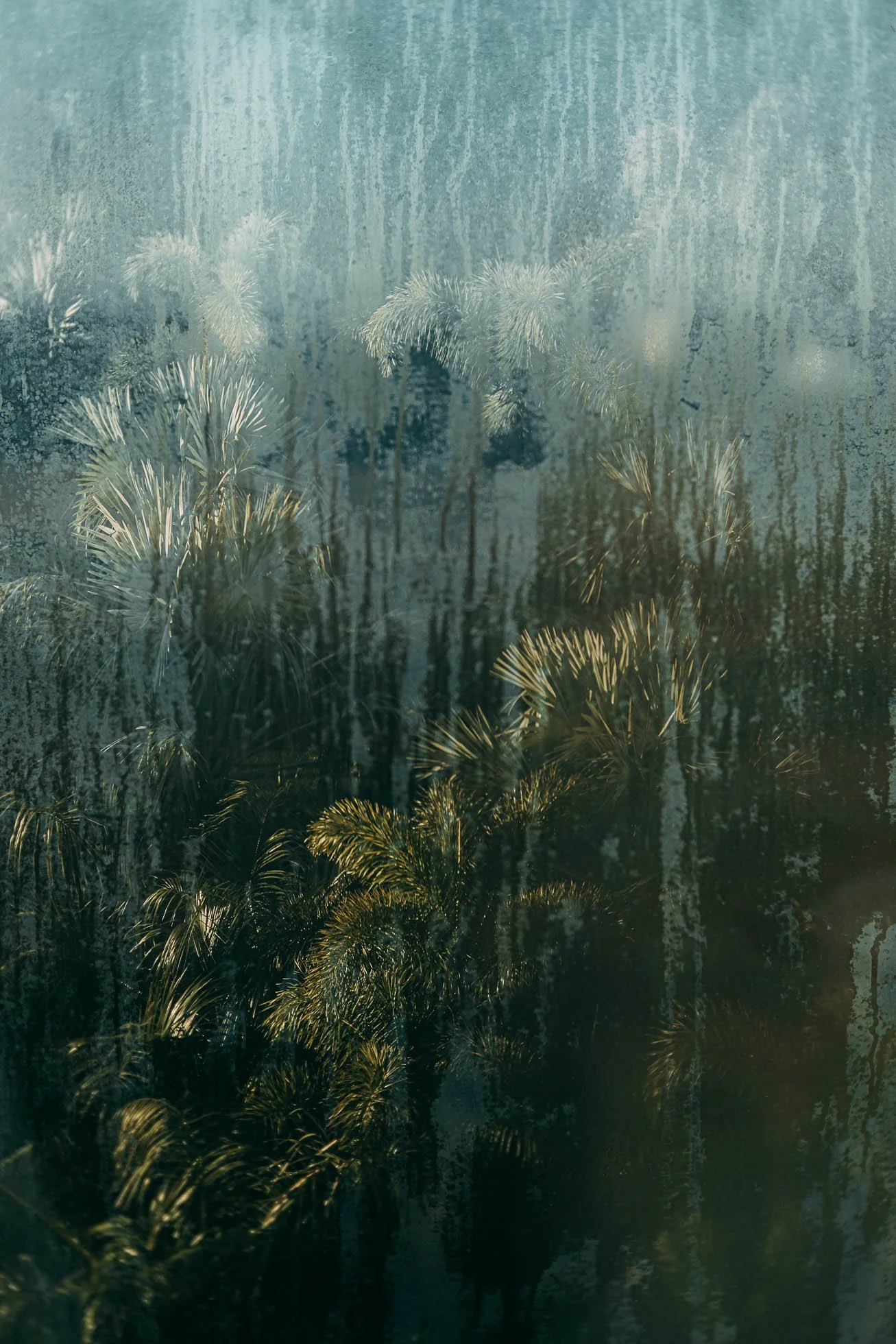 Through the Quiet Glass_Regina Boston, MD.jpg