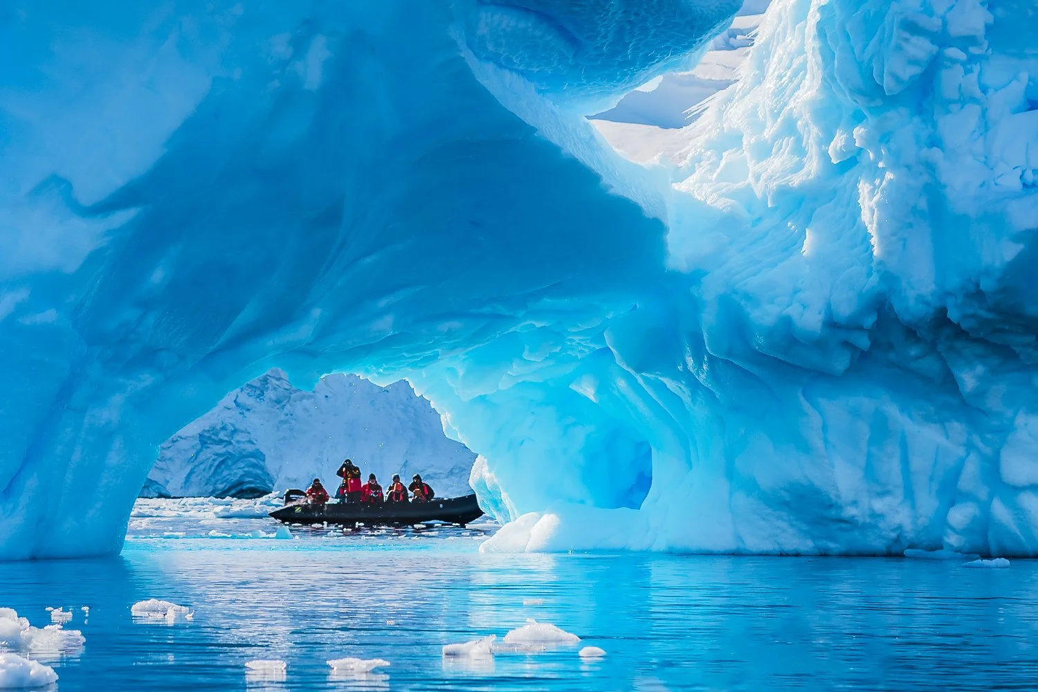 We See You Also_Judy Haran, FL.jpg