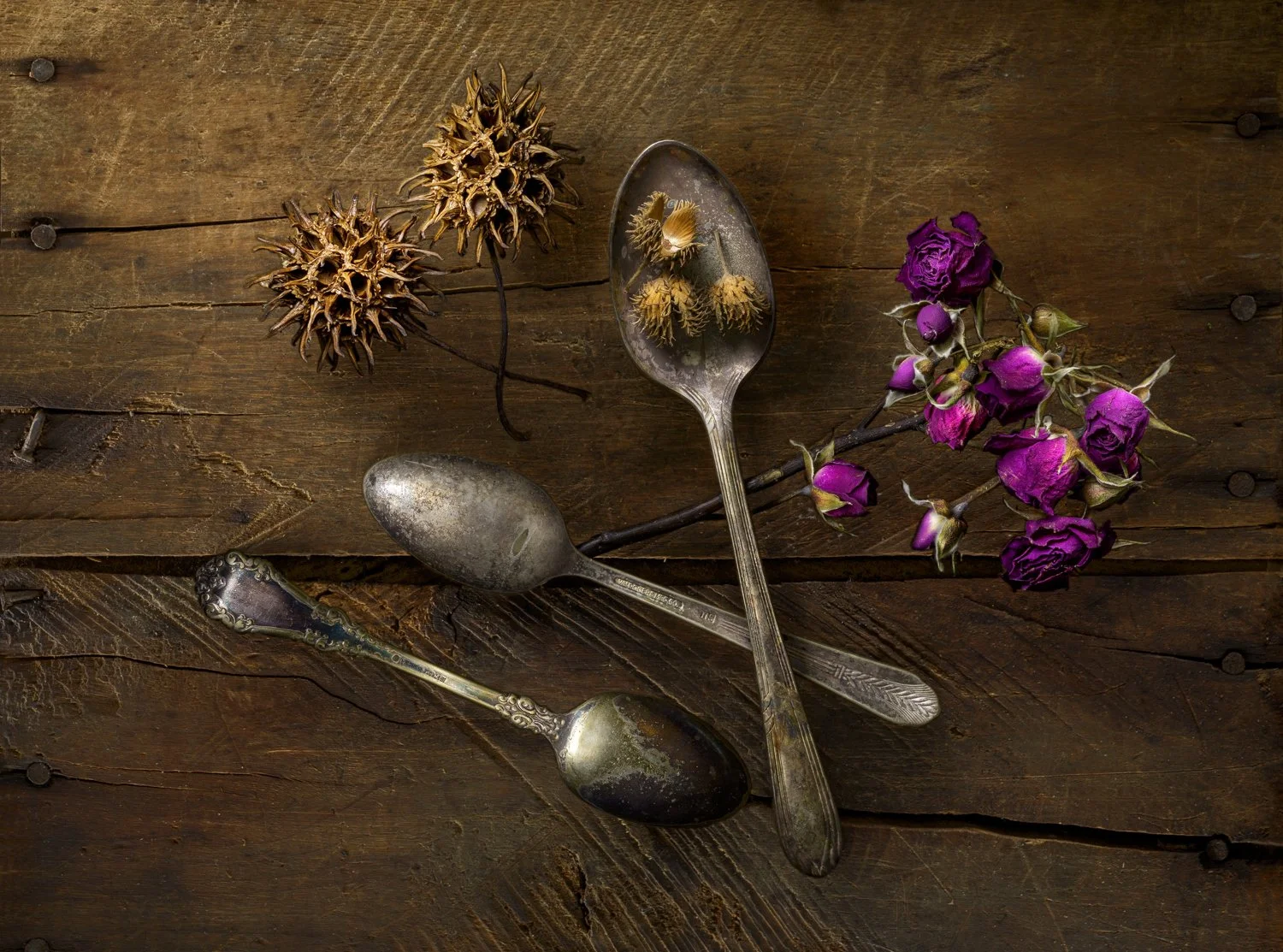 What Was Held_William Shaw, VA.jpg