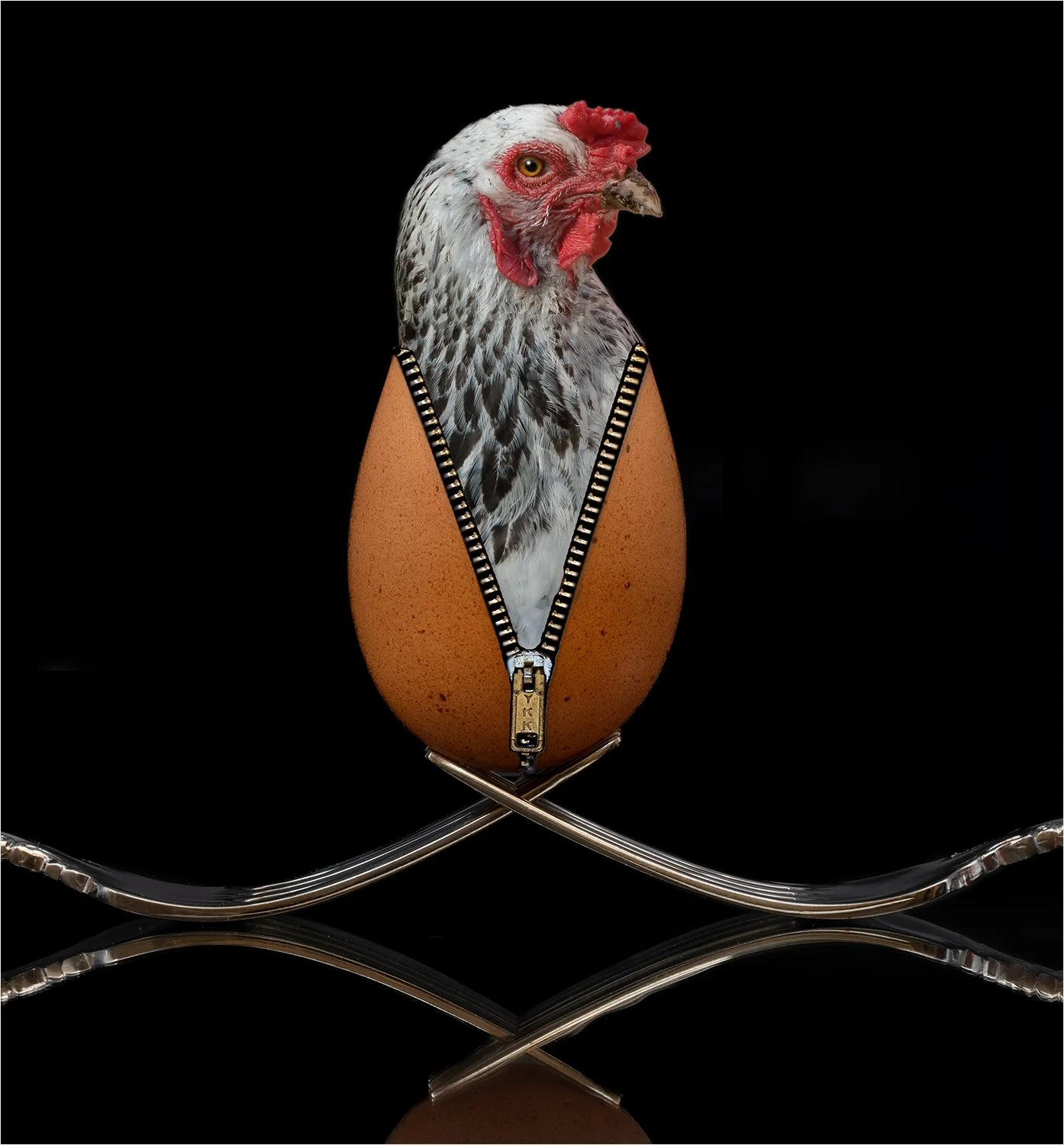 Which Came First?_Judith Sedlak, NJ.jpg