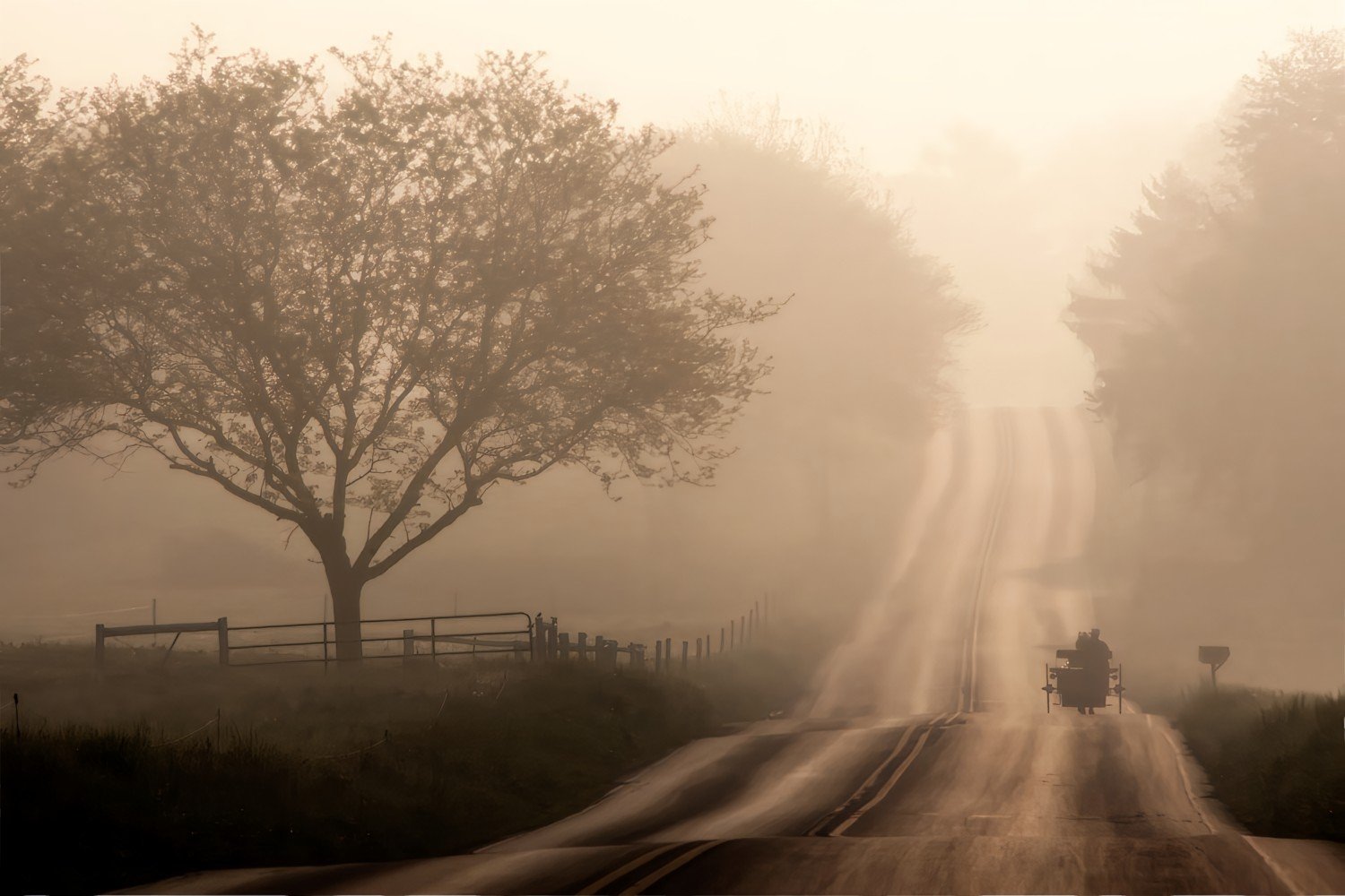 Morning Commute