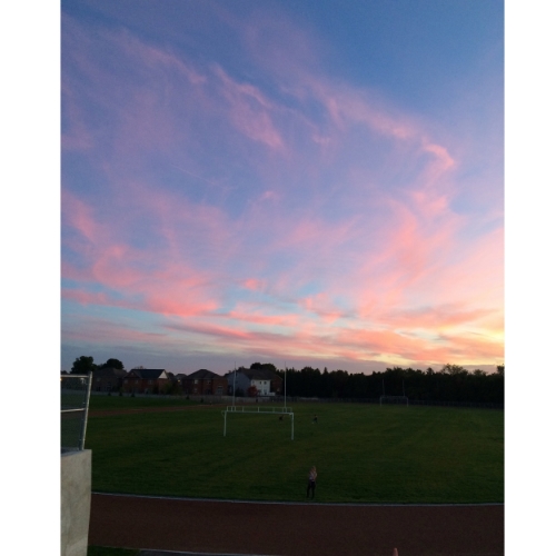 No filter needed on this cotton candy sunset. 