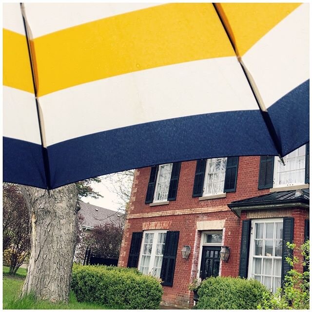 Neighbourhood lookin cute from under my umbrella ella, ella, eh, eh.