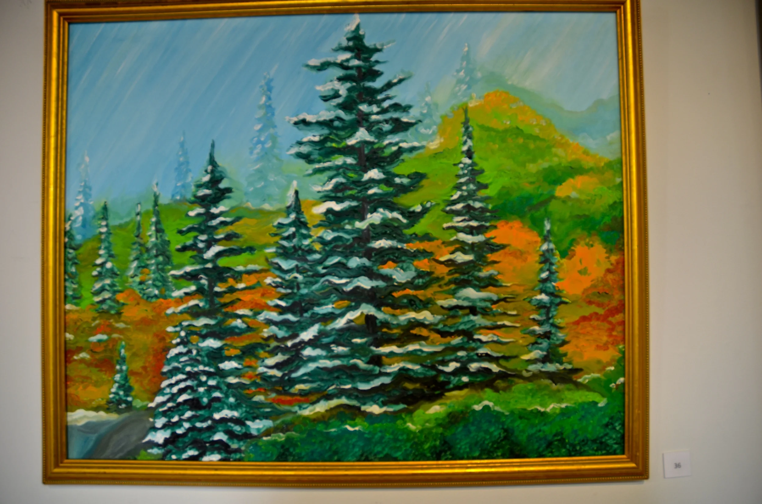DSC_7217.JPG