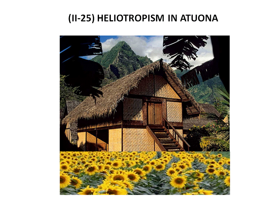 Slide53.GIF