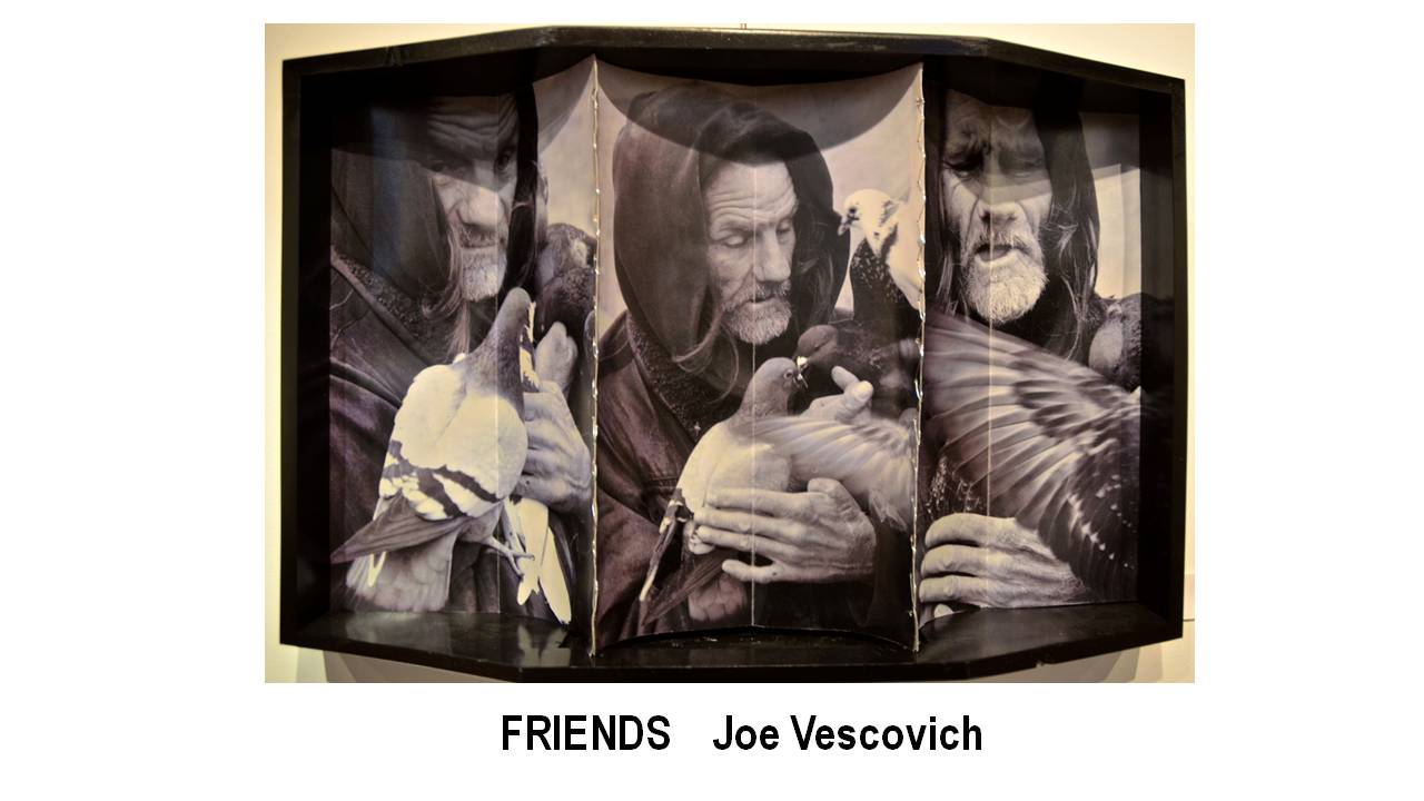 12_FRIENDS-Joe Vescovich.JPG