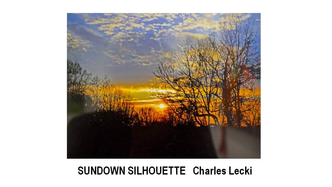 21_SUNDOWN SILHOUETTE-Charles Lecki.JPG