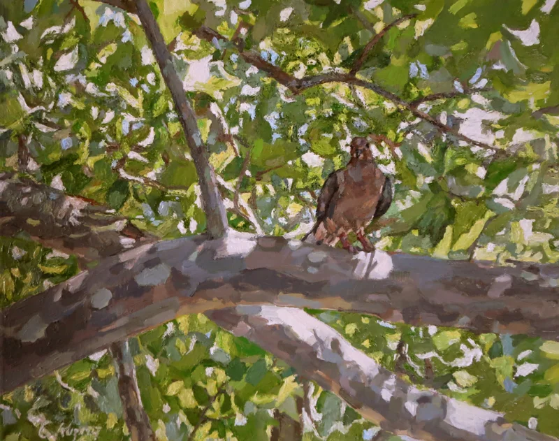 Summerspot - 11%22 x 14%22 oil.jpg