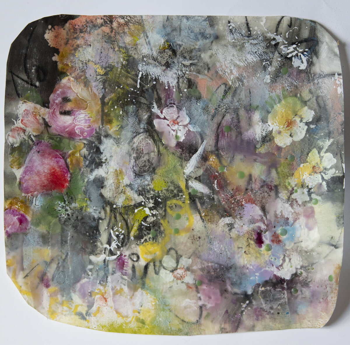 LEAH MACDONALD