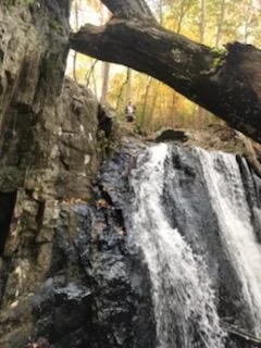 Joe Caltabiano Photo #02