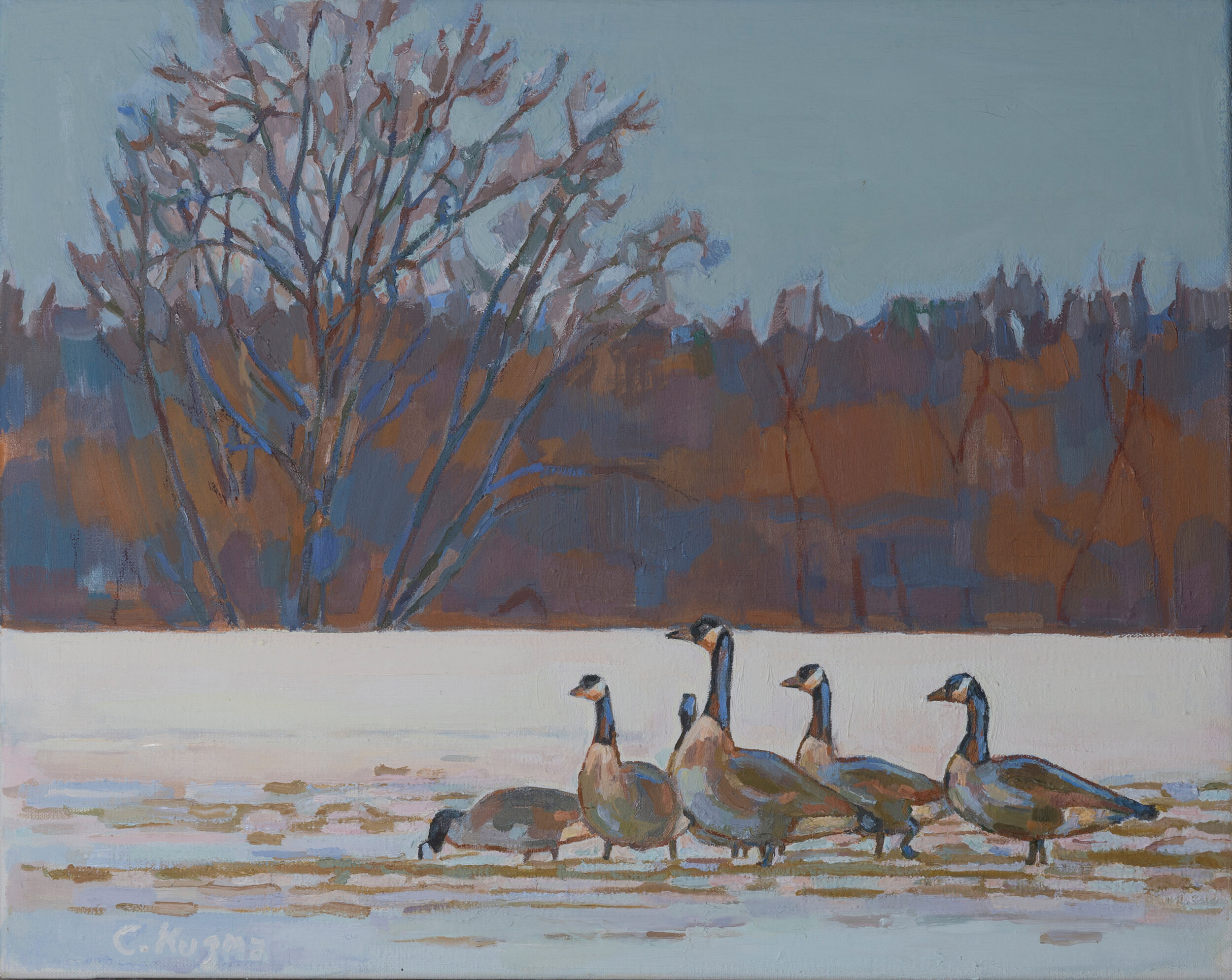 WINTER FEEDING