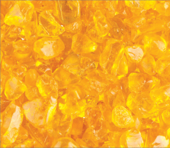Goldenrod