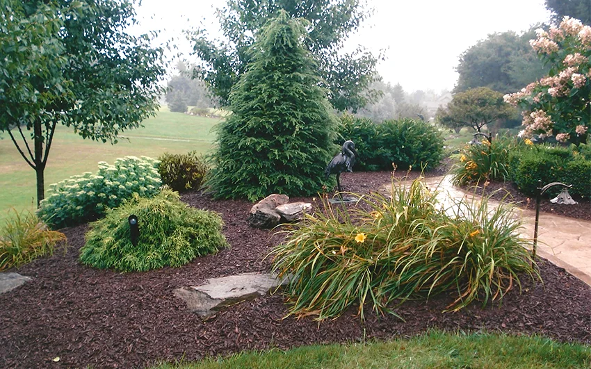 treeshrub.jpg