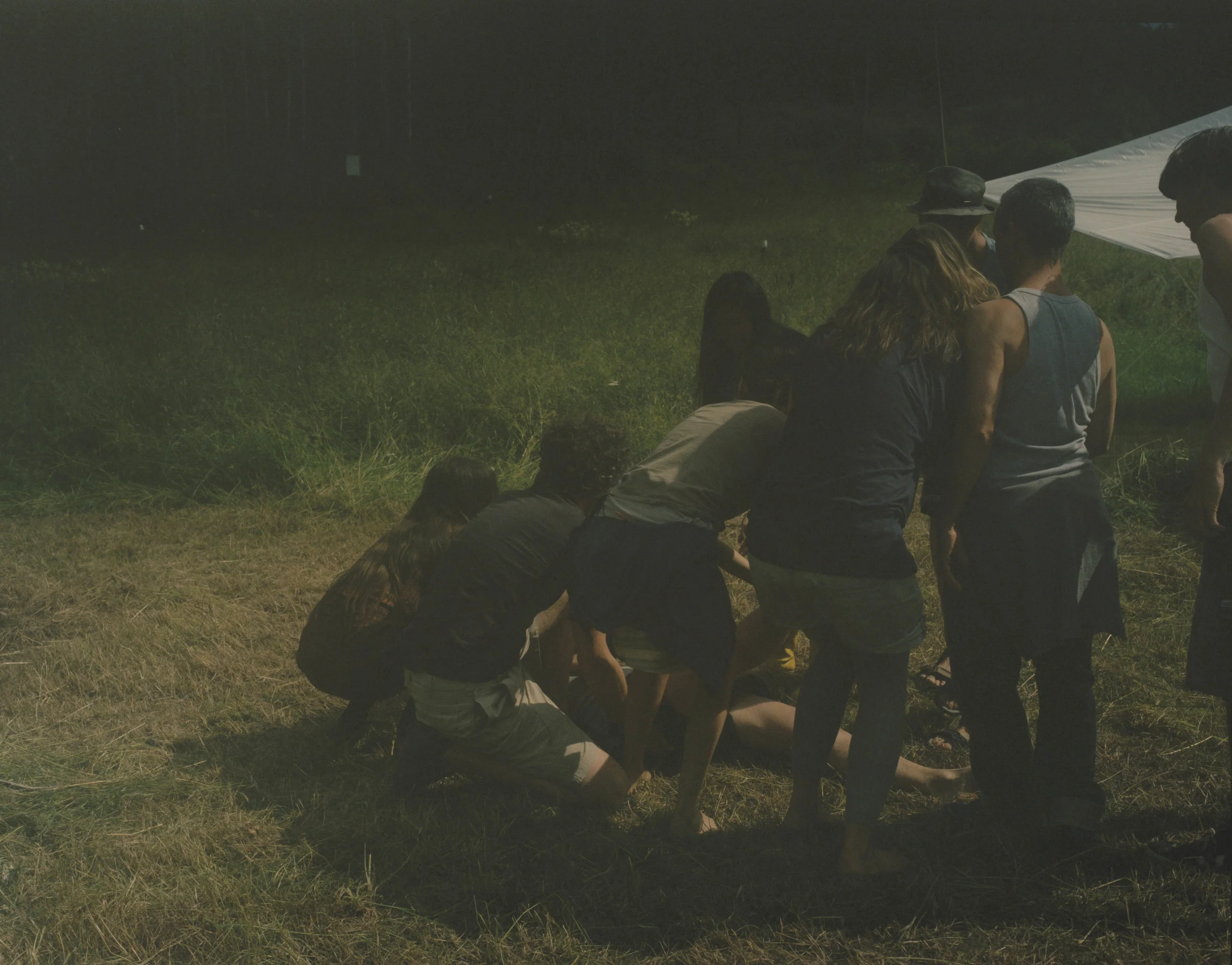 martina hoogland ivanow circular wait book double or