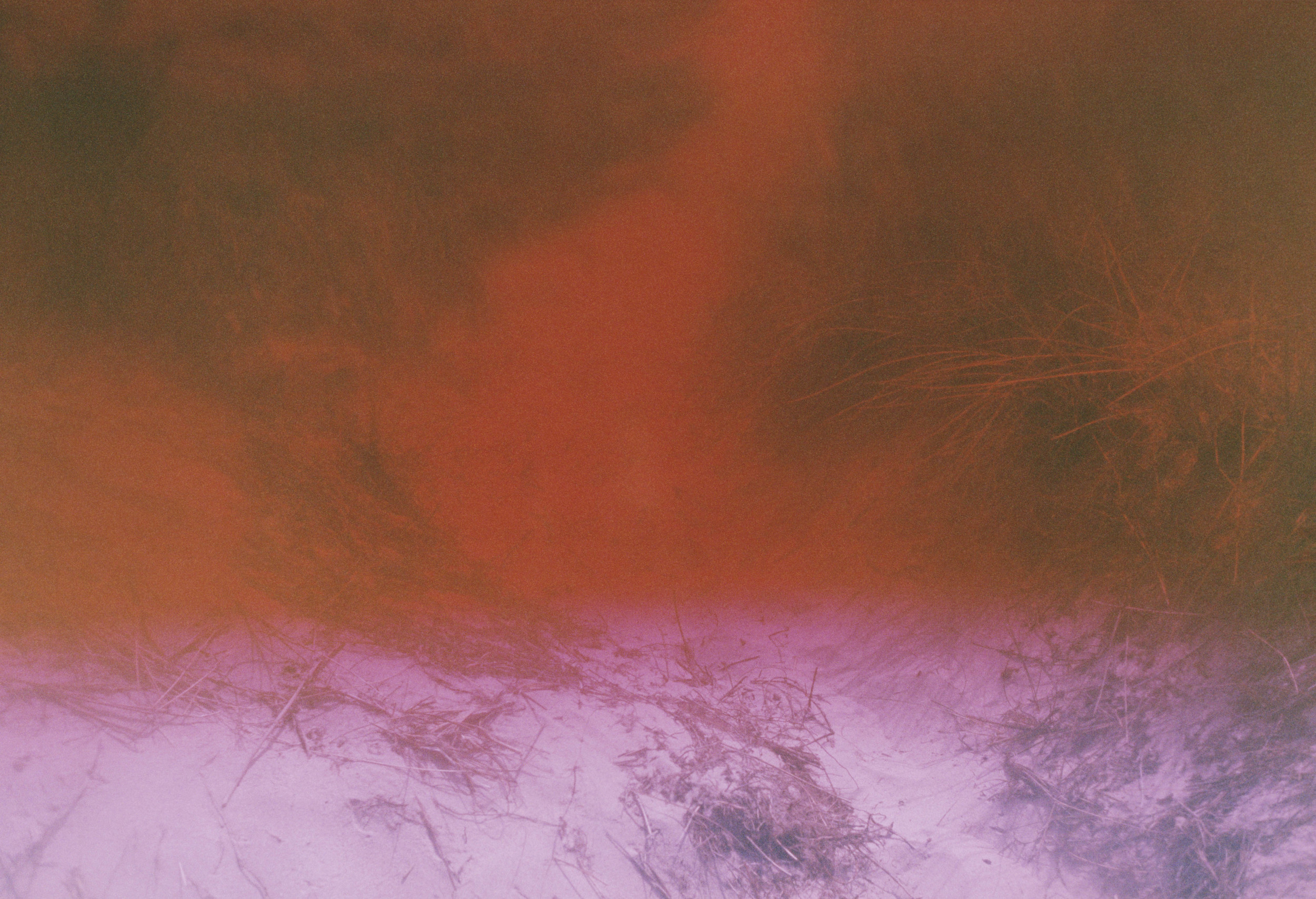 martina hoogland ivanow circular wait book double or