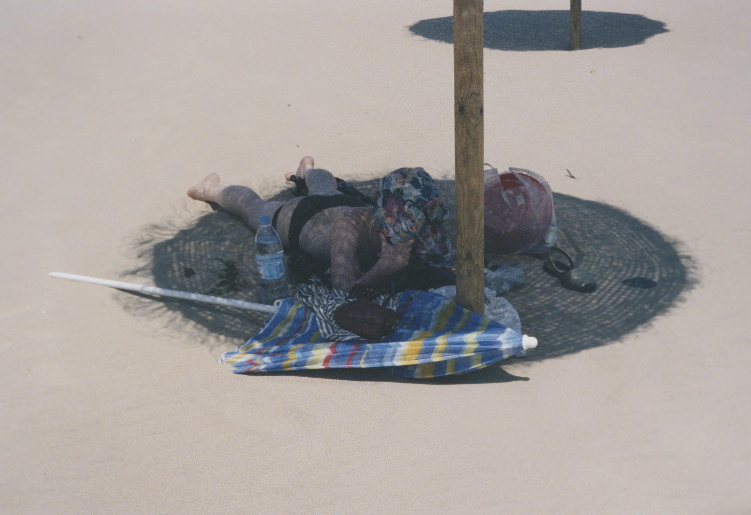 martina hoogland ivanow circular wait book double or