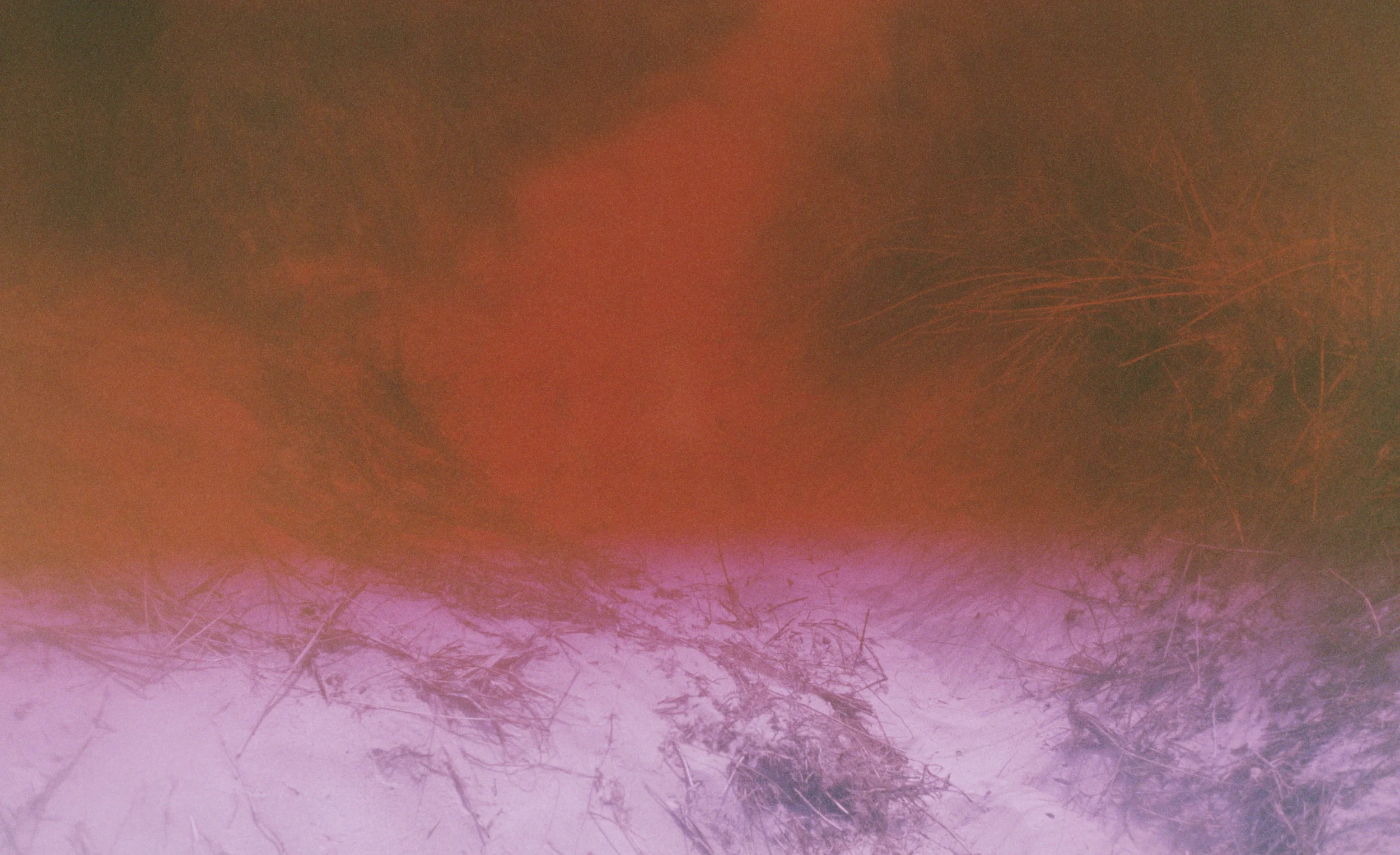 martina hoogland ivanow double or nothing