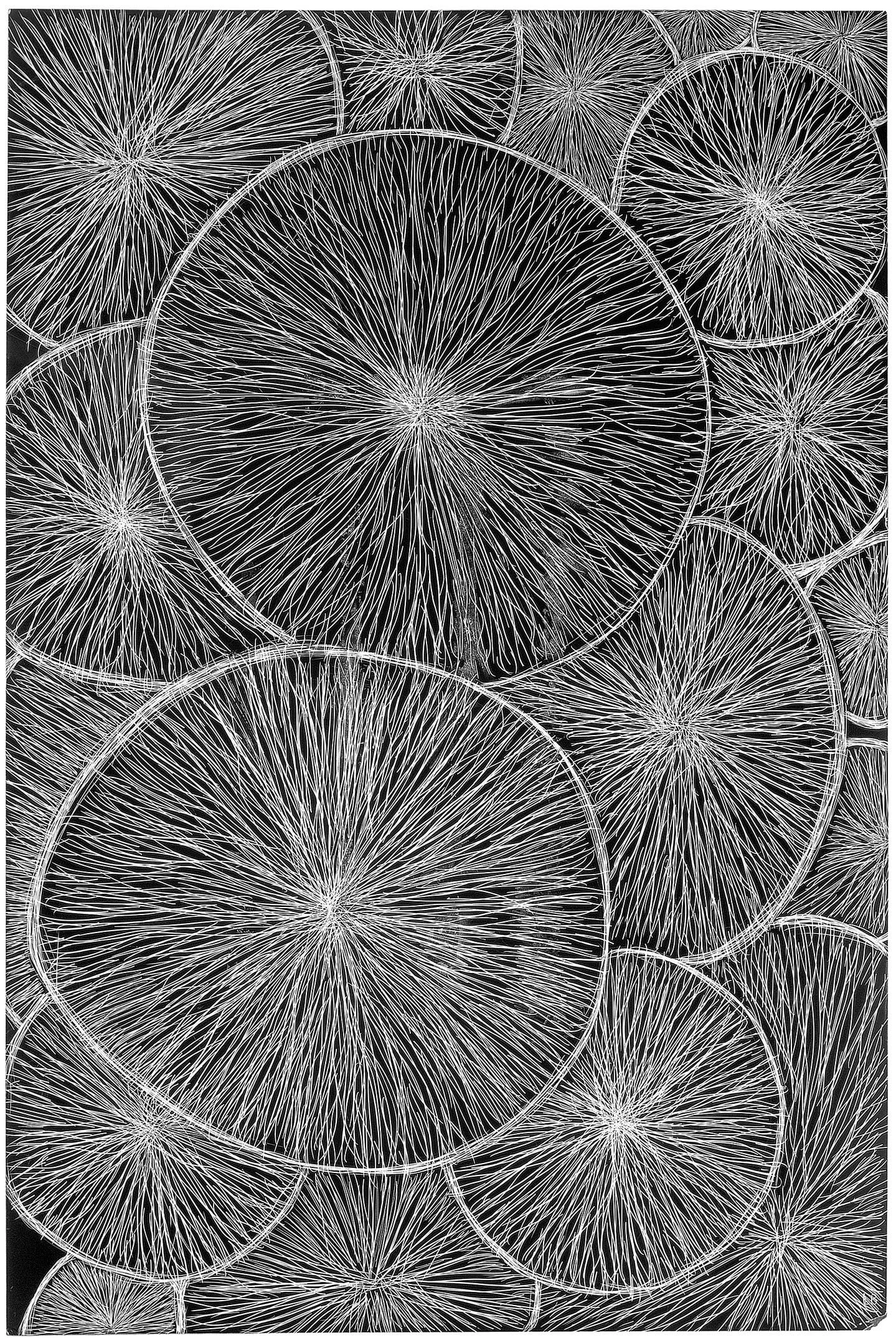 LOUISE BOURGEOIS DRAWINGS