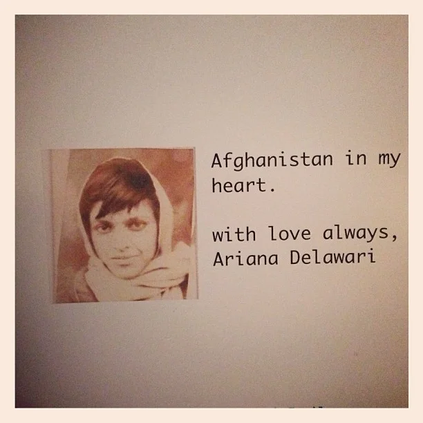ARIANA DELAWARI DOUBLE OR NOTHING