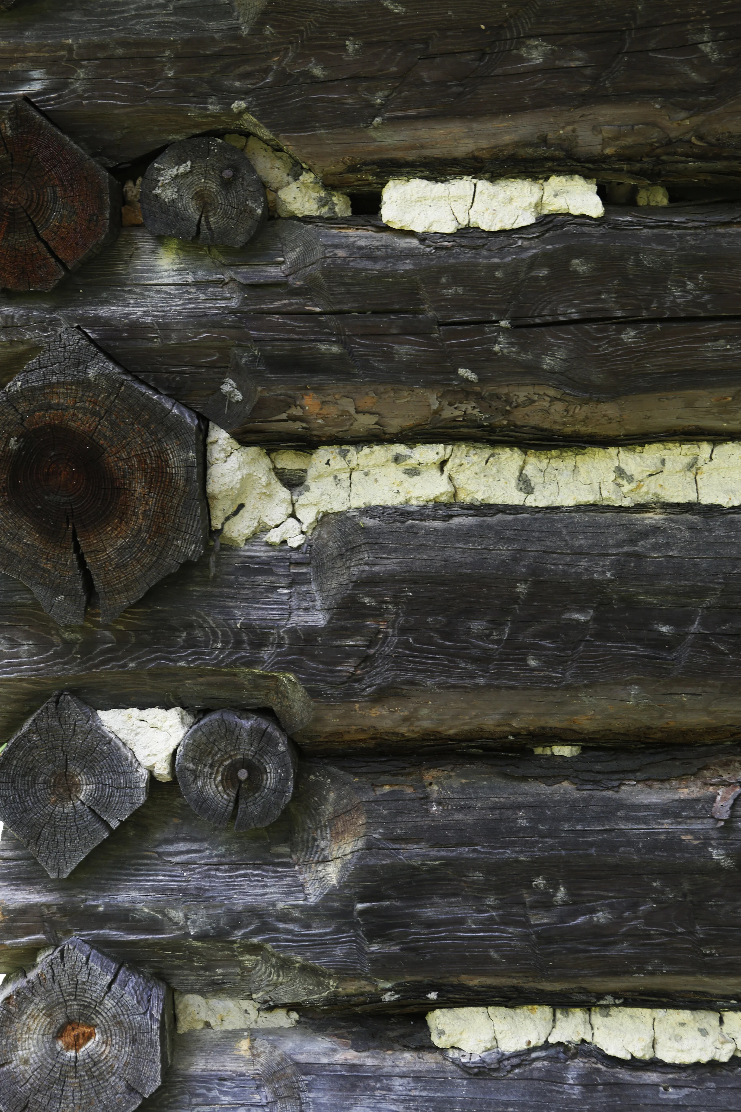 Slave Cabins, Stagville, NC