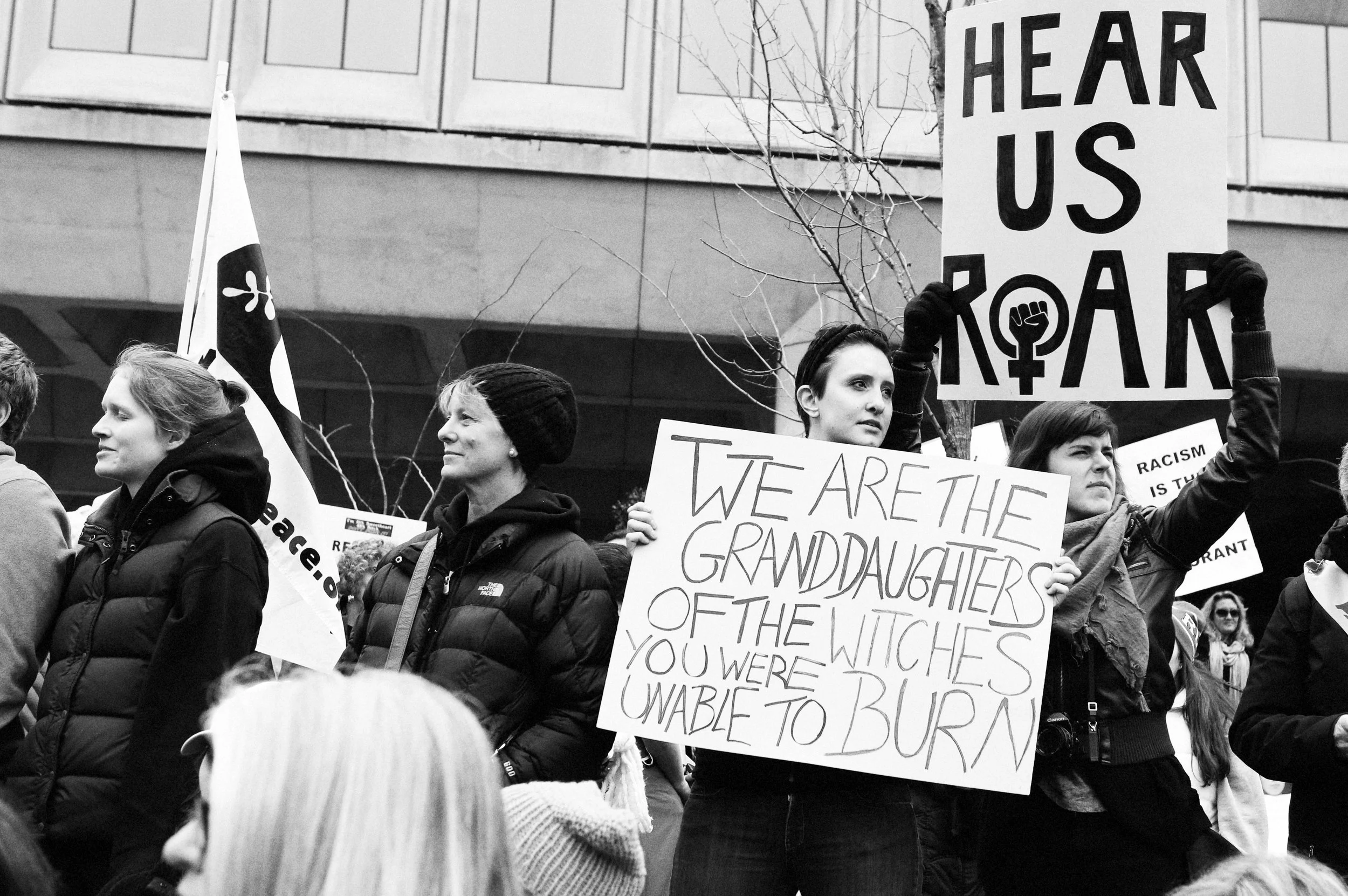 WOMEN'S MARCH ON WASHINGTON PROTEST SIGNS SKYE PARROTT