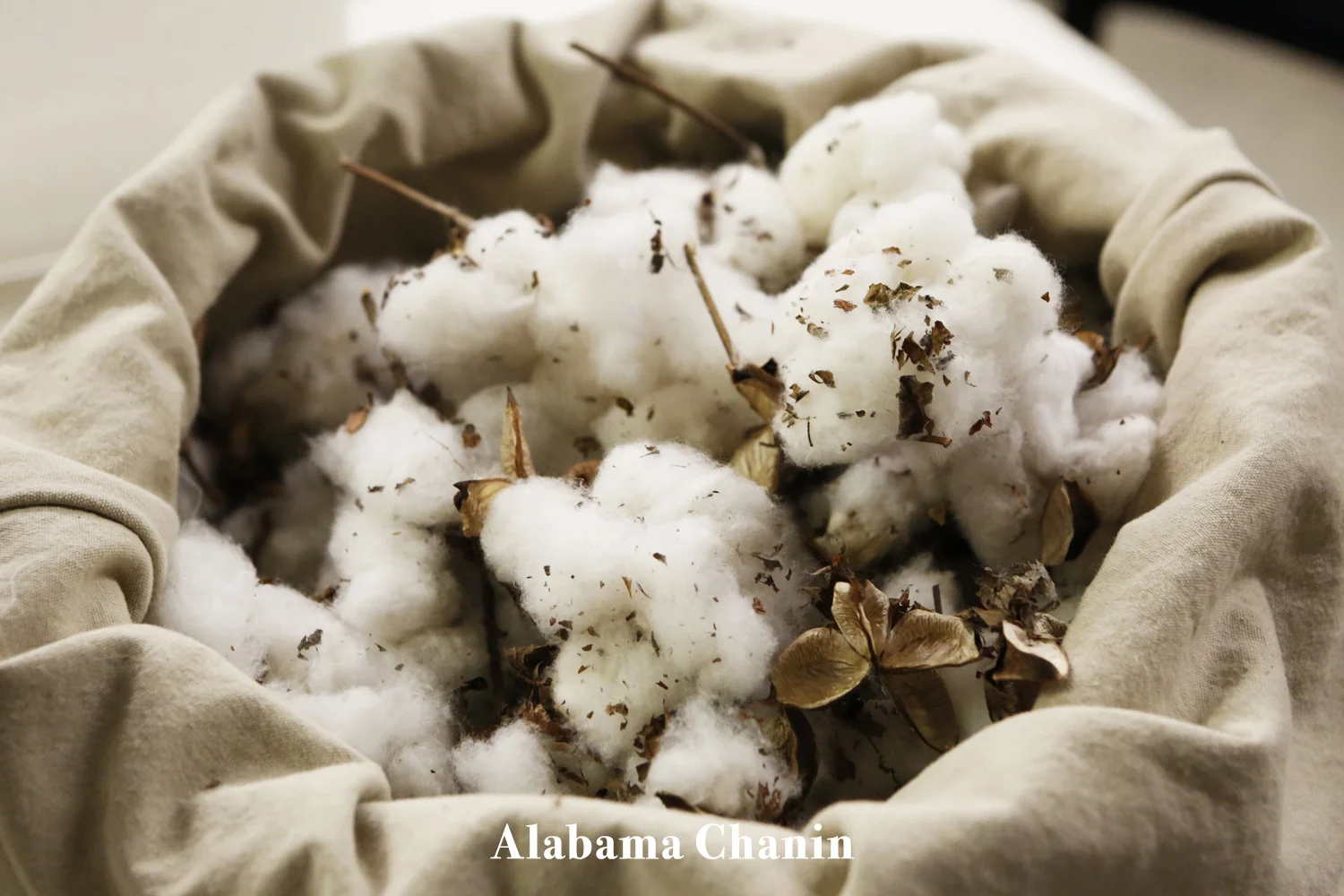 ALABAMA CHANIN DOUBLE OR NOTHING