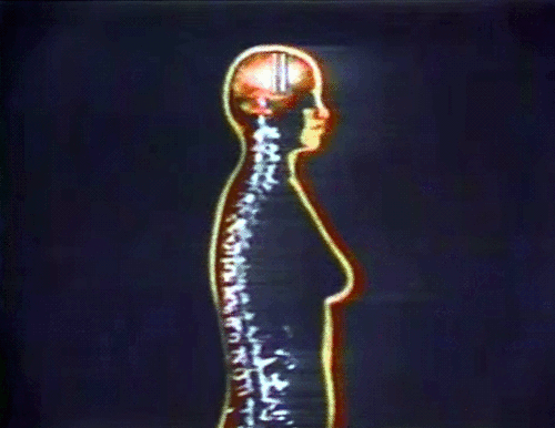 tumblr_ntiqdbTmAR1rpdti4o1_500.gif