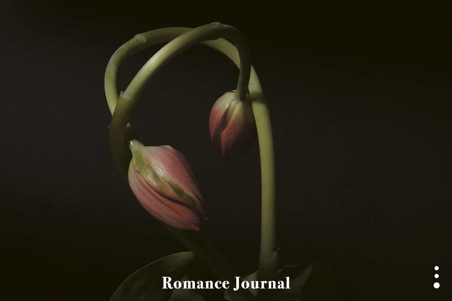 ROMANCE JOURNAL