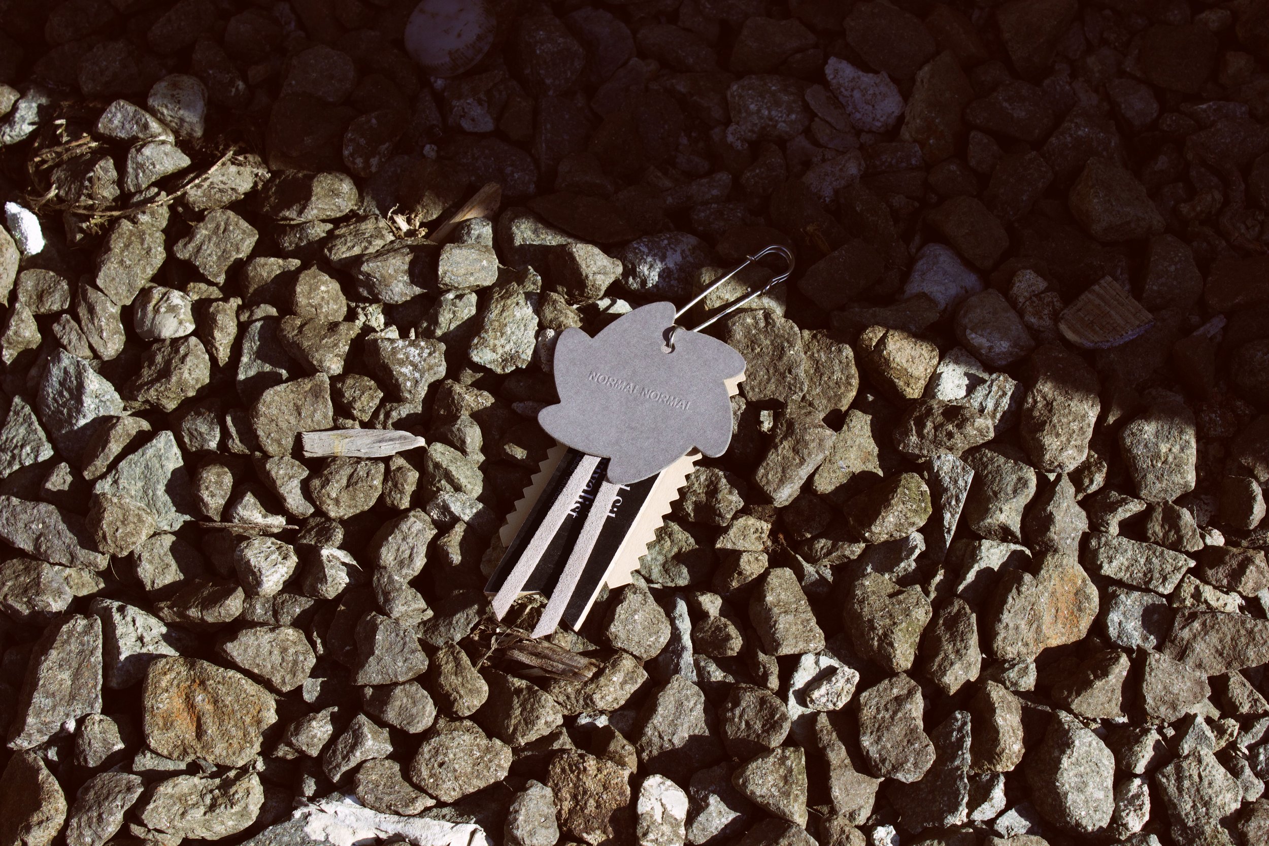 N2_013.jpg