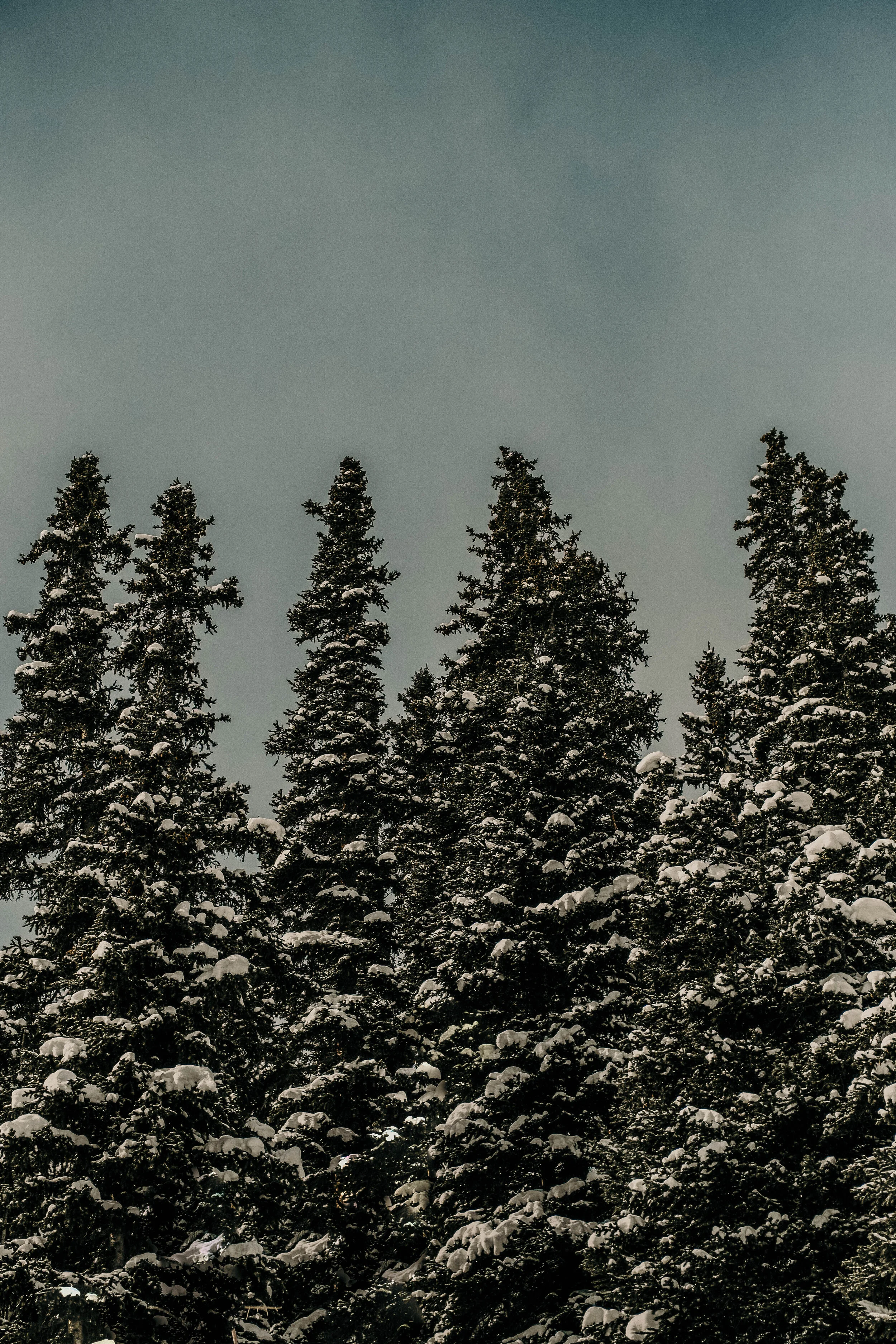20190220-DSCF8201-2.jpg