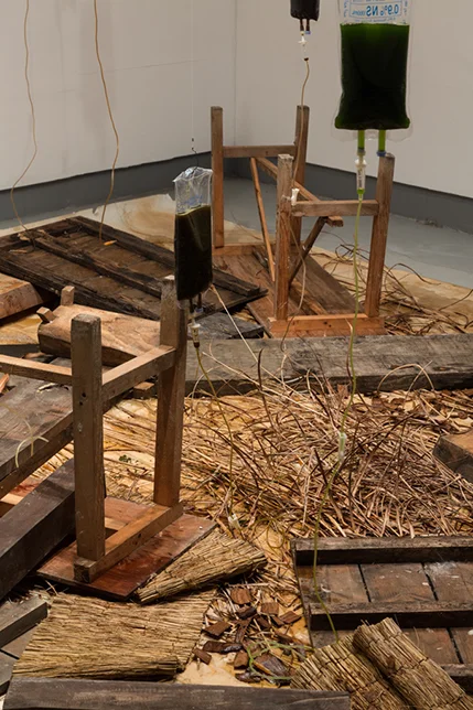 Memory Gap-Bulatmaiking Schema Art Museum, Cheongju 2015