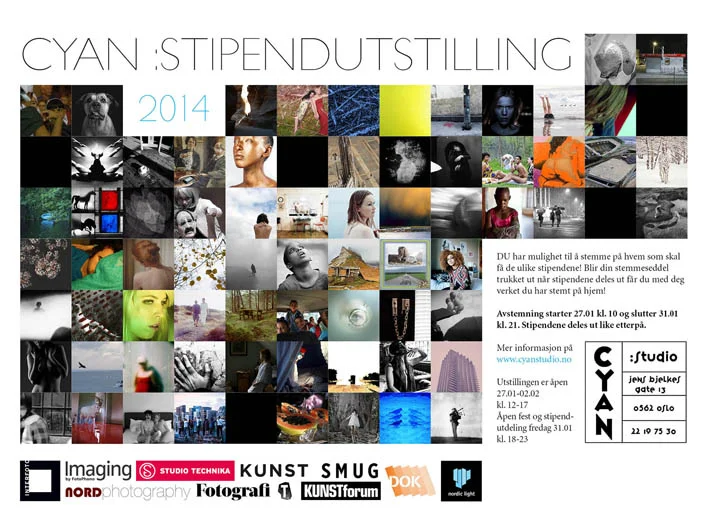 CYAN stipendutstilling 2014